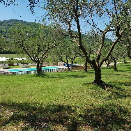 Il Vecchio Gelso - Agriturismo Rimini Montefiore Conca Villa Dış mekan fotoğraf
