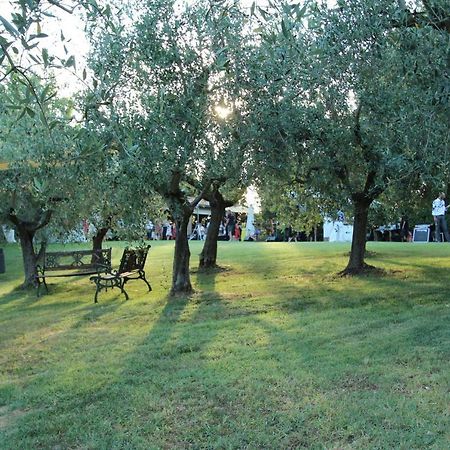 Il Vecchio Gelso - Agriturismo Rimini Montefiore Conca Villa Dış mekan fotoğraf