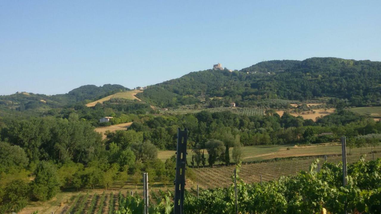 Il Vecchio Gelso - Agriturismo Rimini Montefiore Conca Villa Dış mekan fotoğraf