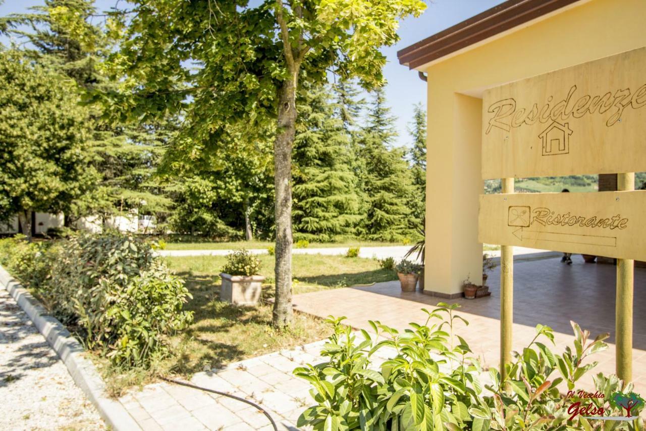 Il Vecchio Gelso - Agriturismo Rimini Montefiore Conca Villa Dış mekan fotoğraf