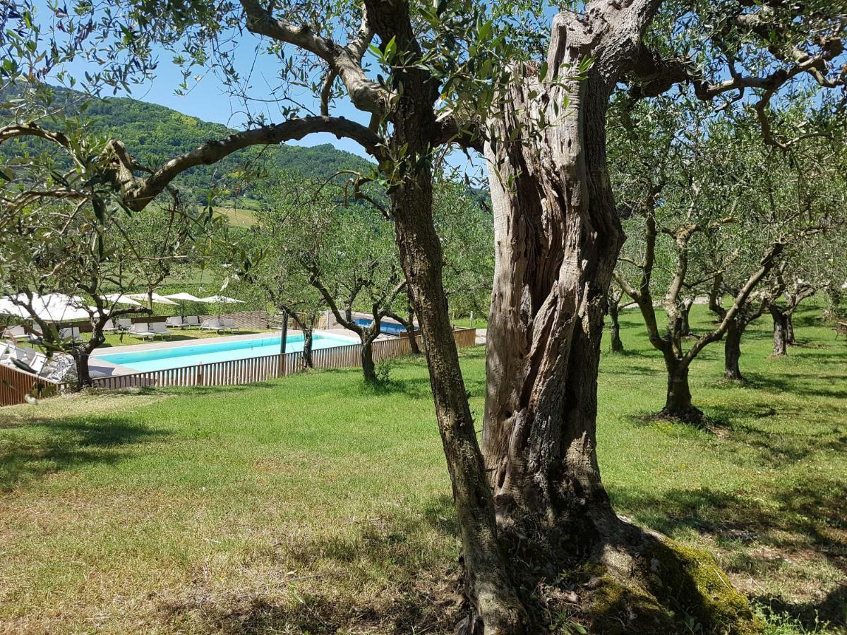 Il Vecchio Gelso - Agriturismo Rimini Montefiore Conca Villa Dış mekan fotoğraf