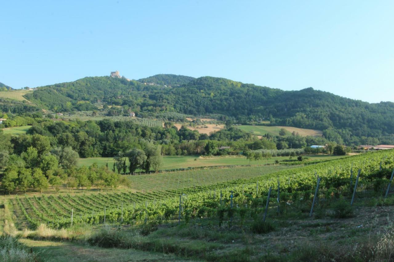 Il Vecchio Gelso - Agriturismo Rimini Montefiore Conca Villa Dış mekan fotoğraf