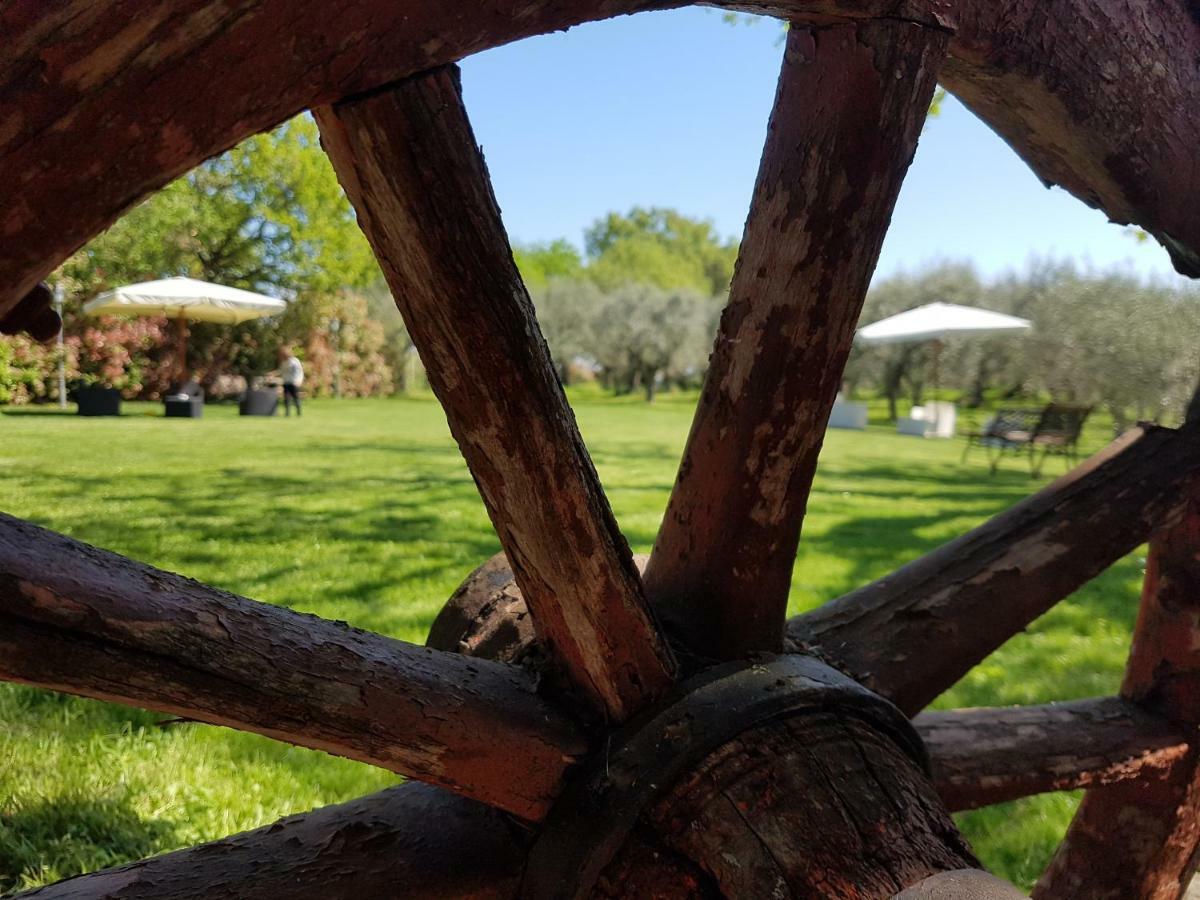 Il Vecchio Gelso - Agriturismo Rimini Montefiore Conca Villa Dış mekan fotoğraf