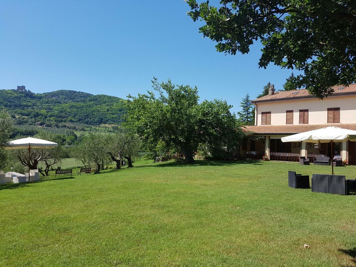 Il Vecchio Gelso - Agriturismo Rimini Montefiore Conca Villa Dış mekan fotoğraf