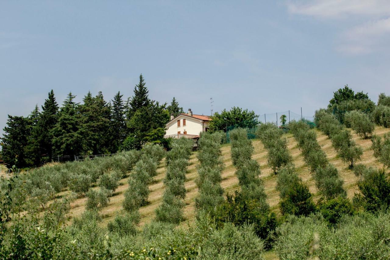 Il Vecchio Gelso - Agriturismo Rimini Montefiore Conca Villa Dış mekan fotoğraf