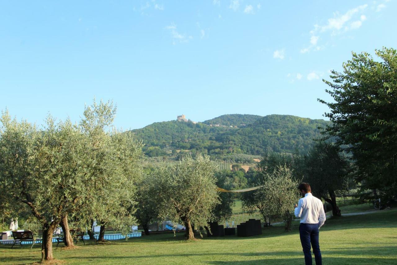 Il Vecchio Gelso - Agriturismo Rimini Montefiore Conca Villa Dış mekan fotoğraf