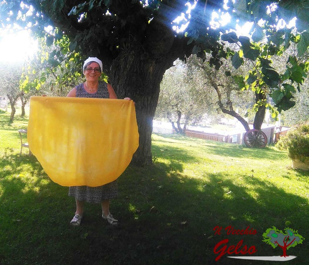 Il Vecchio Gelso - Agriturismo Rimini Montefiore Conca Villa Dış mekan fotoğraf