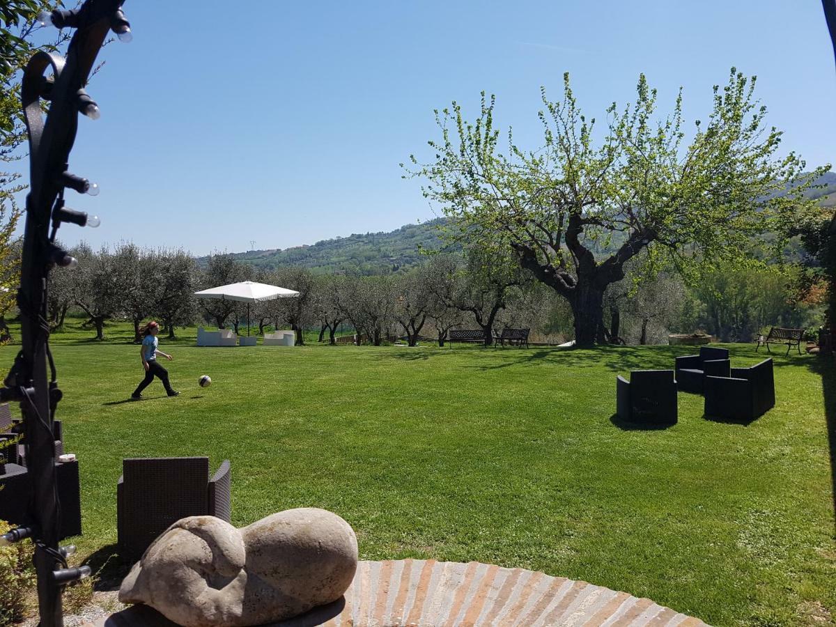 Il Vecchio Gelso - Agriturismo Rimini Montefiore Conca Villa Dış mekan fotoğraf