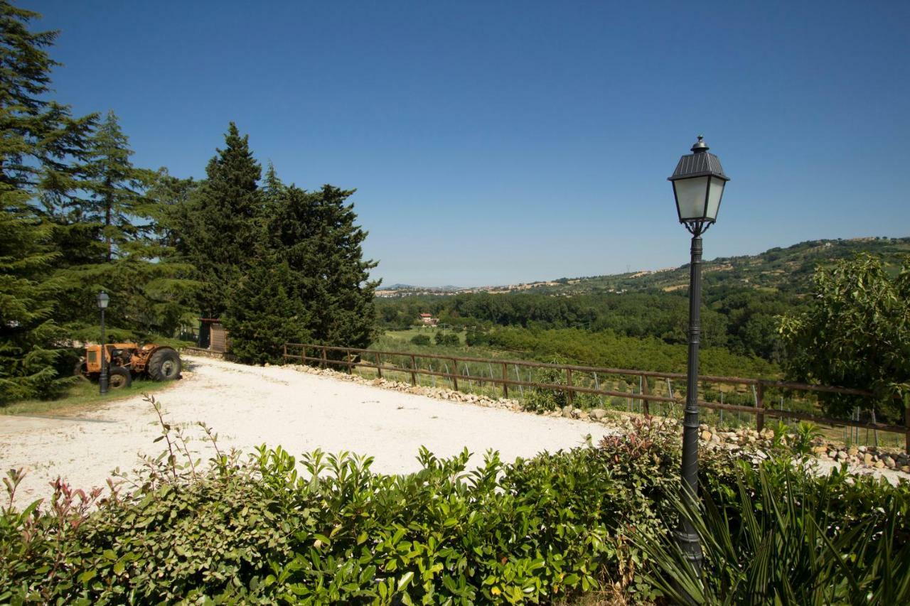 Il Vecchio Gelso - Agriturismo Rimini Montefiore Conca Villa Dış mekan fotoğraf