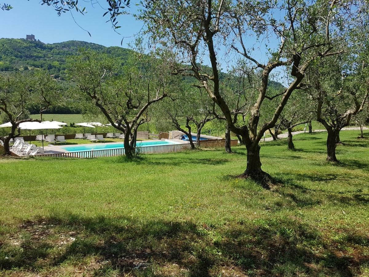 Il Vecchio Gelso - Agriturismo Rimini Montefiore Conca Villa Dış mekan fotoğraf
