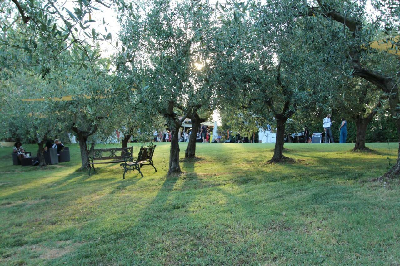 Il Vecchio Gelso - Agriturismo Rimini Montefiore Conca Villa Dış mekan fotoğraf