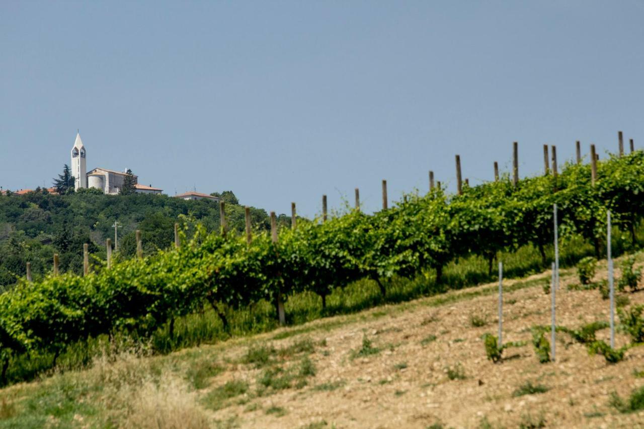Il Vecchio Gelso - Agriturismo Rimini Montefiore Conca Villa Dış mekan fotoğraf