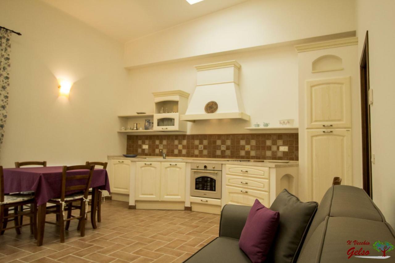 Il Vecchio Gelso - Agriturismo Rimini Montefiore Conca Villa Dış mekan fotoğraf